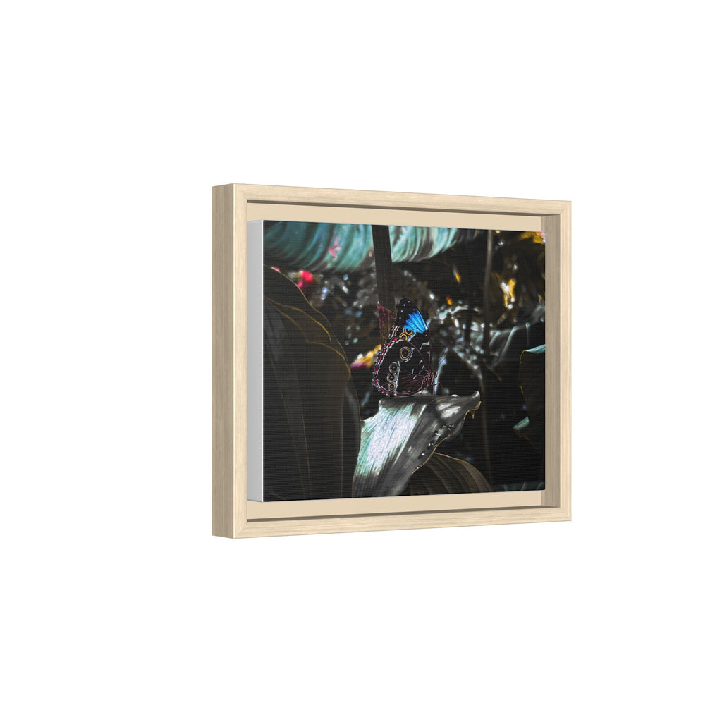 Framed Matte Canvas Print — Moody Tropical Butterfly Wall Art