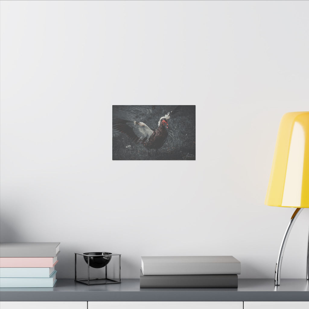Dark Farmhouse Canvas Print — Moody Muscovy Duck Wall Art