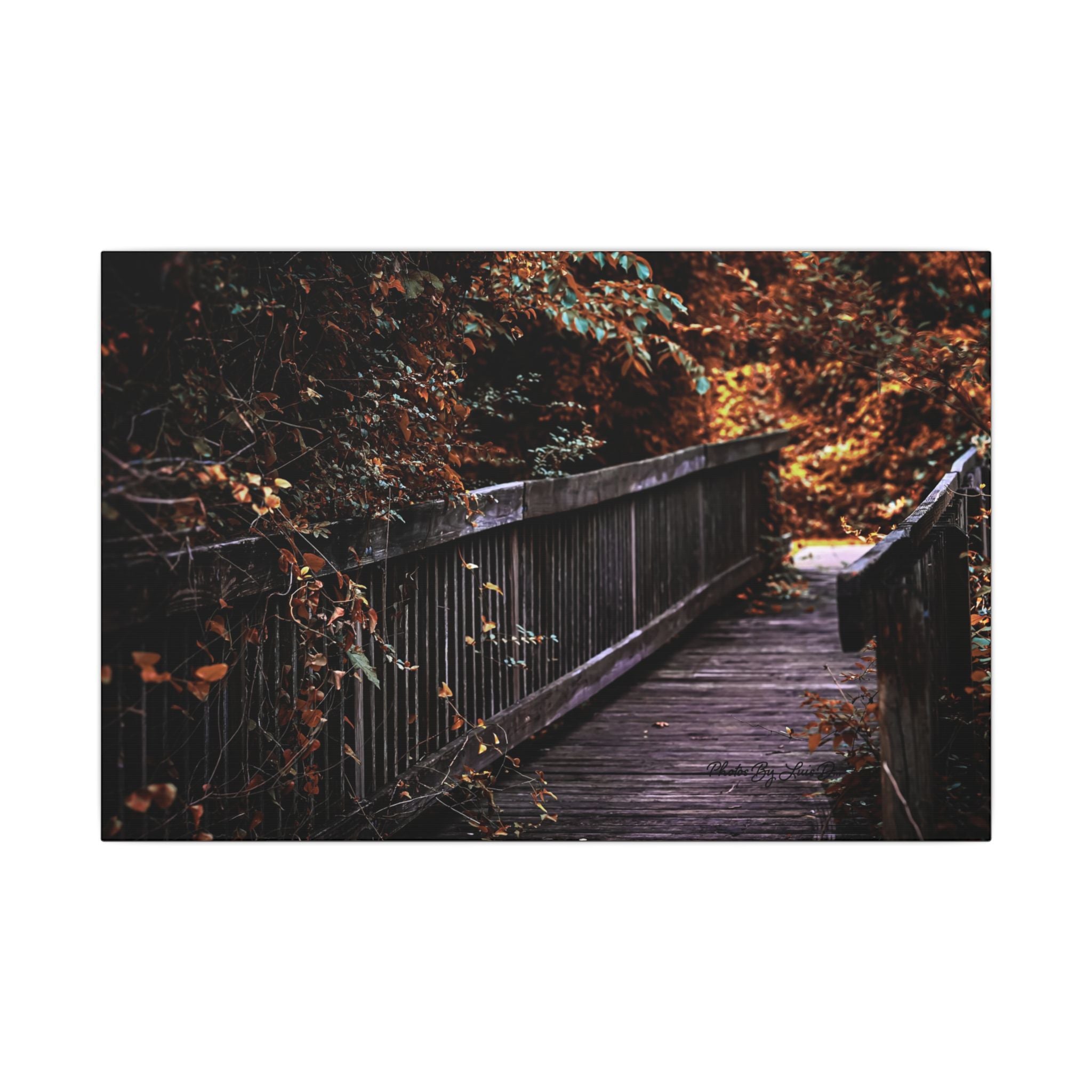 Autumn Forest Footbridge Matte Canvas Wall Art — Moody Woodland Landscape
