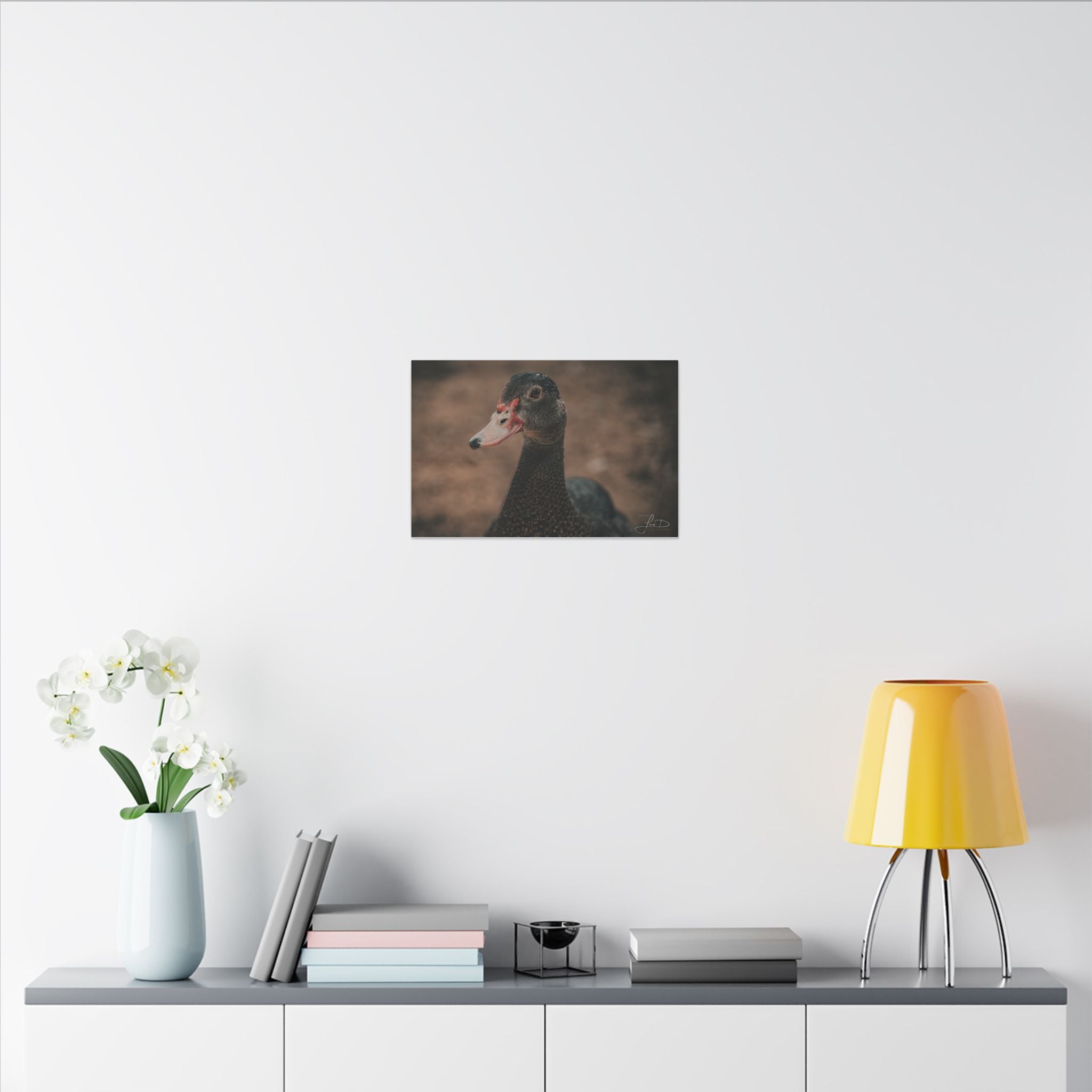 Muscovy Duck Portrait Matte Canvas Wall Art