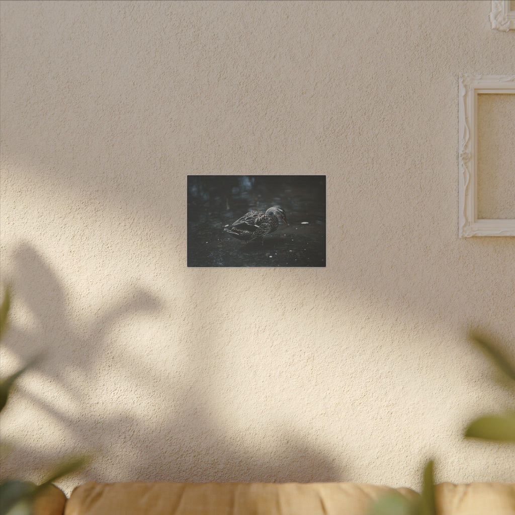 Matte Canvas Print - Moody Duck Photography Wall Art