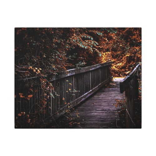 Autumn Forest Footbridge Matte Canvas Wall Art — Moody Woodland Landscape