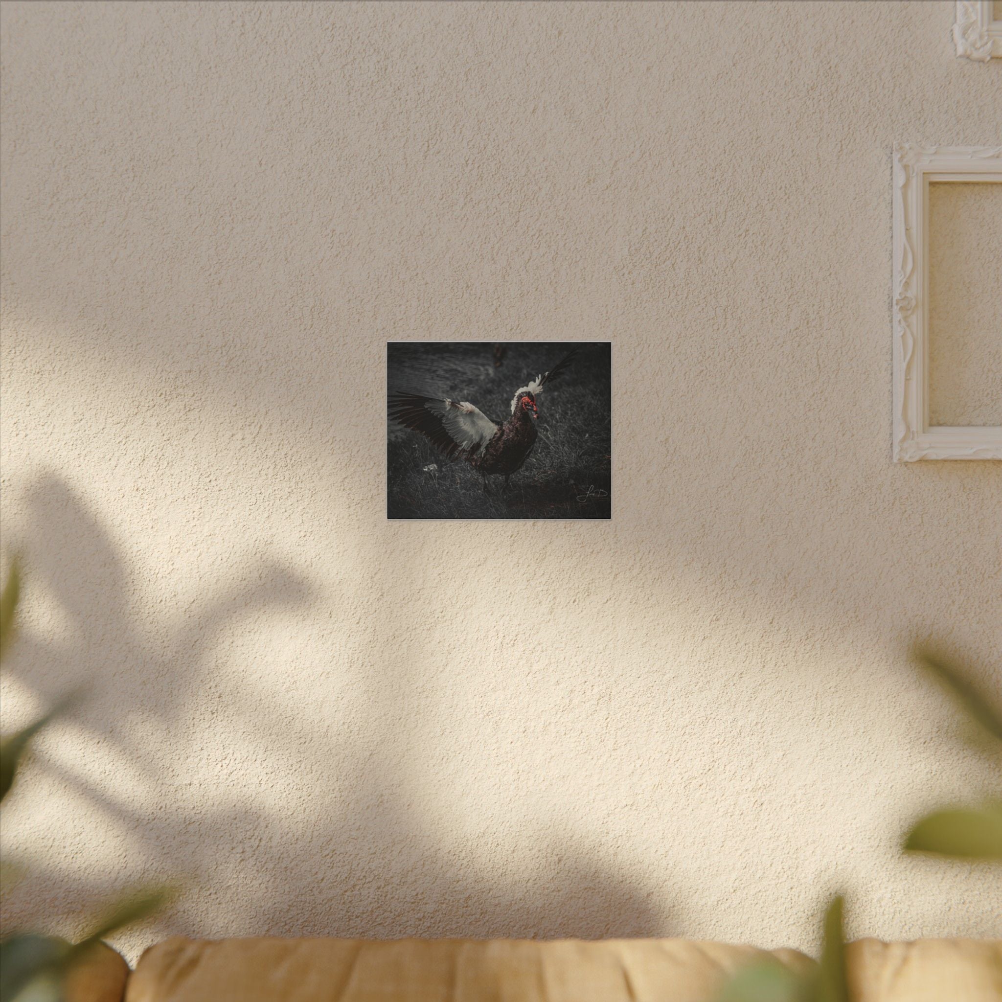 Dark Farmhouse Canvas Print — Moody Muscovy Duck Wall Art