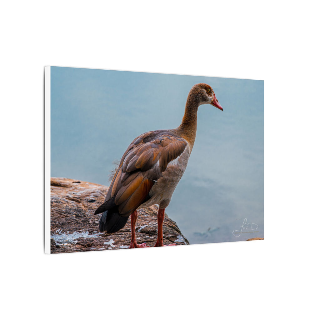 Goose Canvas Wall Art — Matte Stretched Nature Print