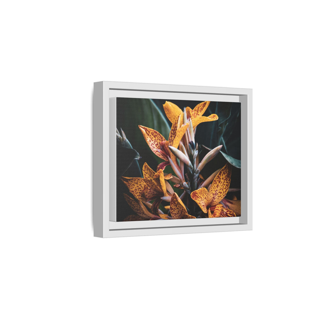 Framed Floral Canvas Wall Art — Golden Canna Lily Photograph (Matte, Multi‑Color)