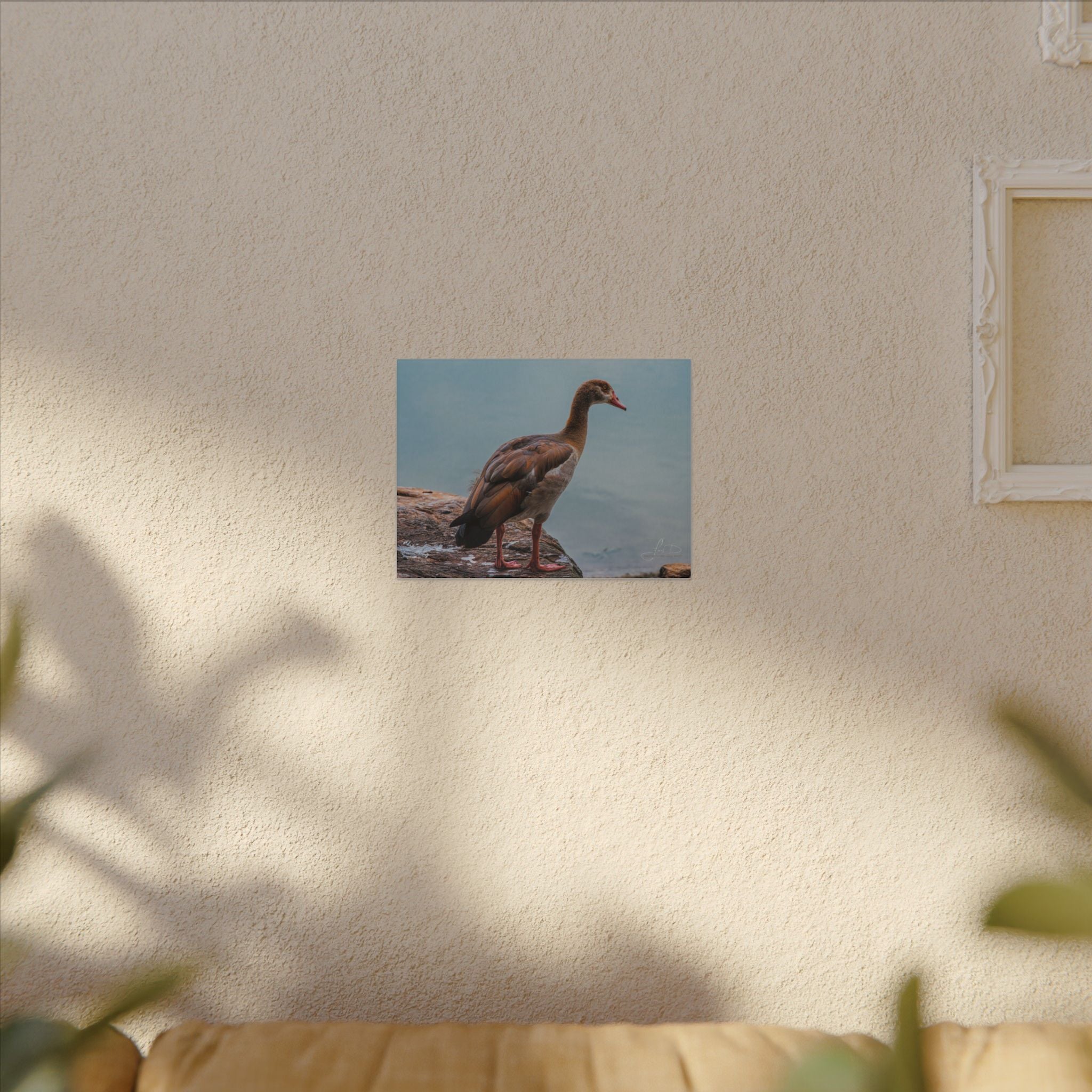 Goose Canvas Wall Art — Matte Stretched Nature Print