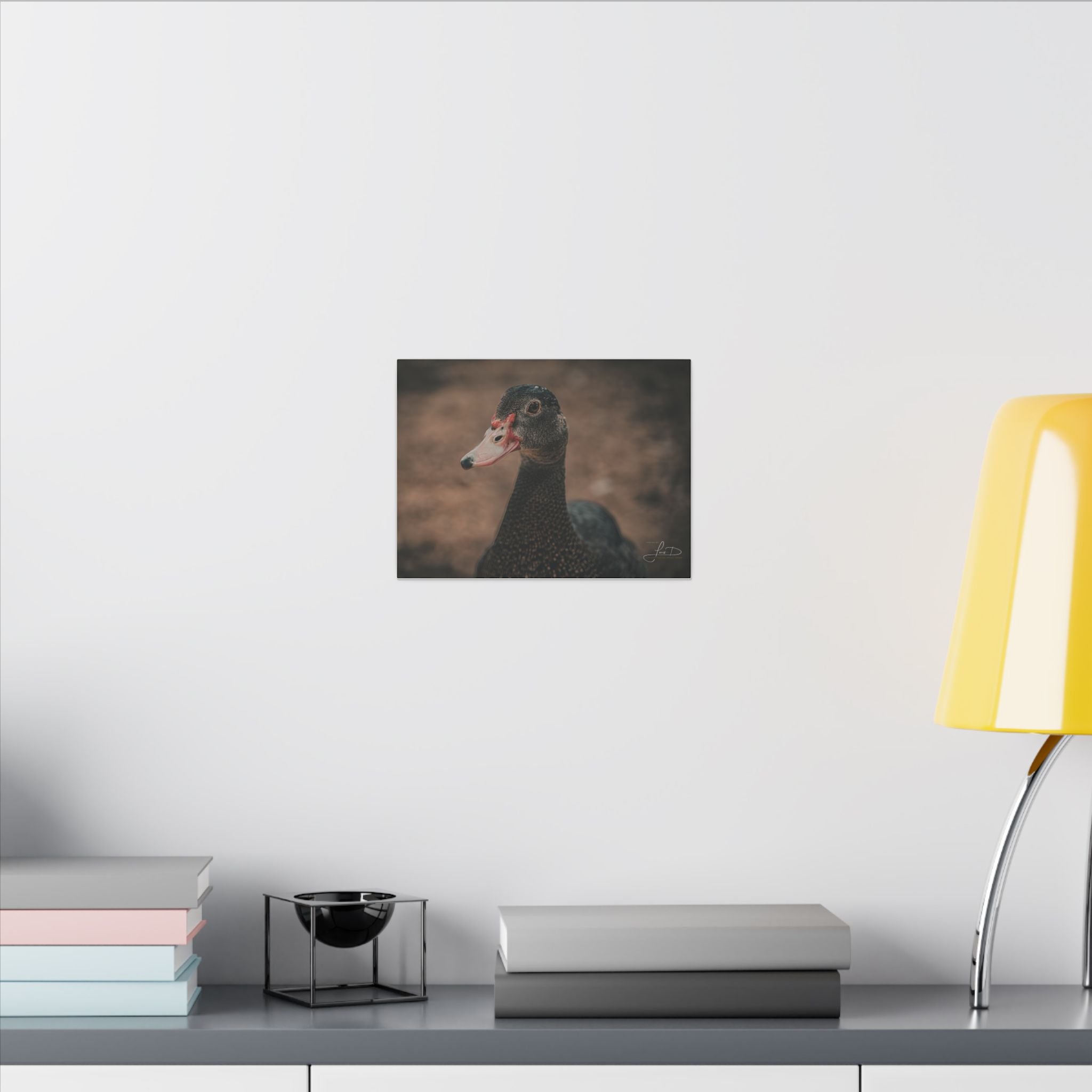 Muscovy Duck Portrait Matte Canvas Wall Art