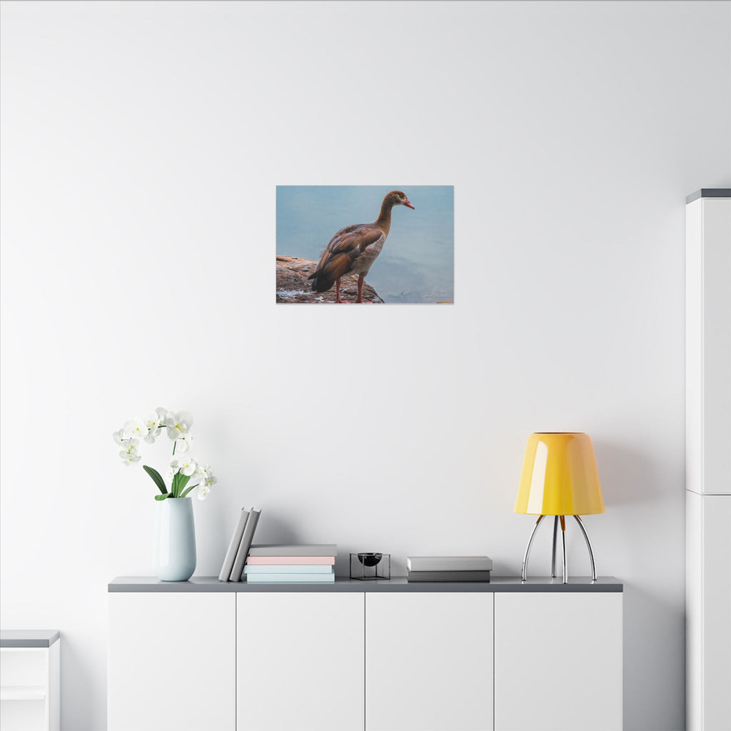 Goose Canvas Wall Art — Matte Stretched Nature Print