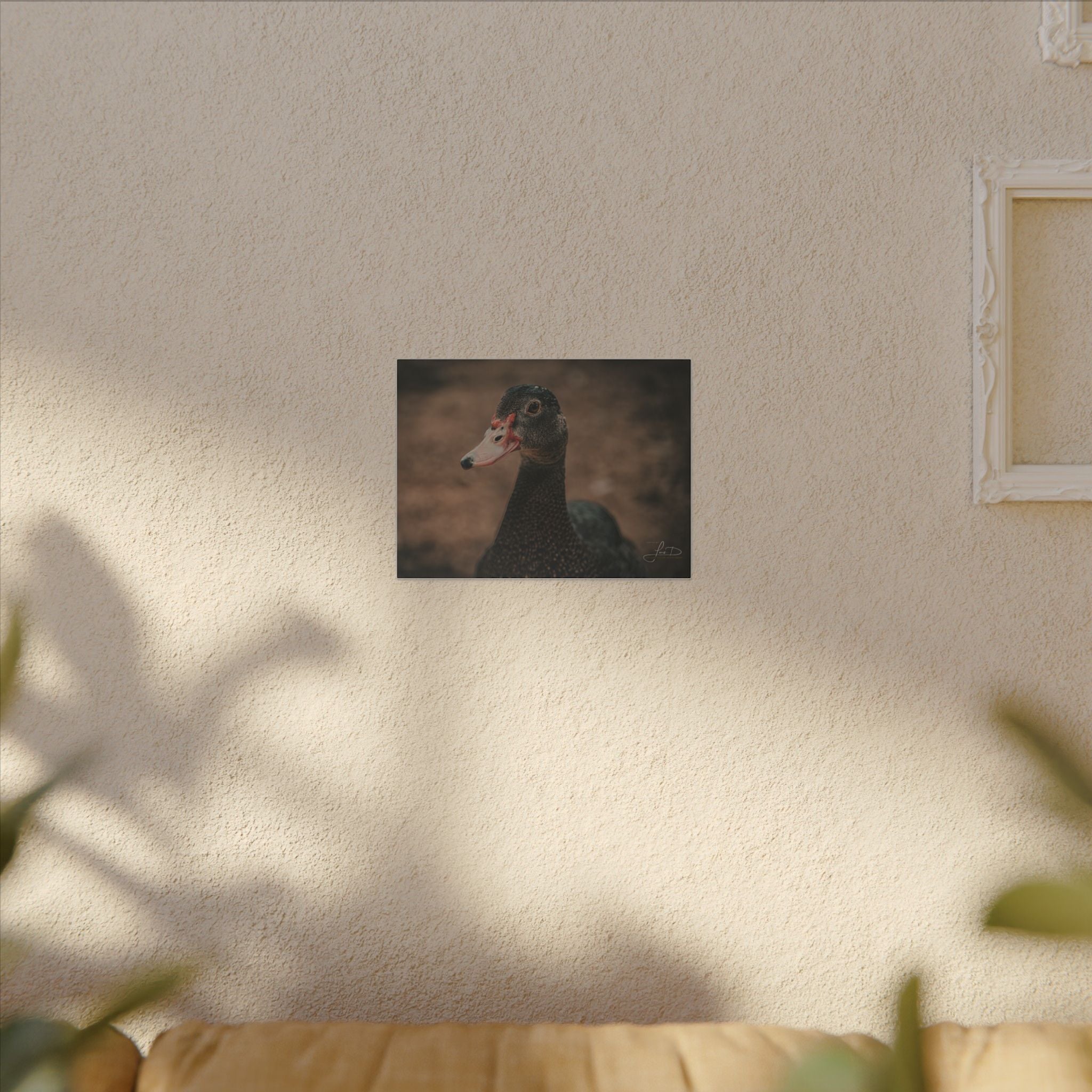 Muscovy Duck Portrait Matte Canvas Wall Art