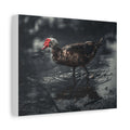 Muscovy Duck Matte Canvas Print — Moody Wildlife Photography Wall Art