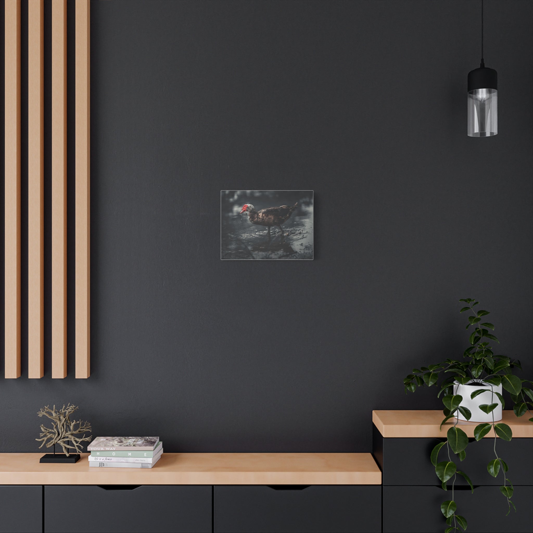 Muscovy Duck Matte Canvas Print — Moody Wildlife Photography Wall Art