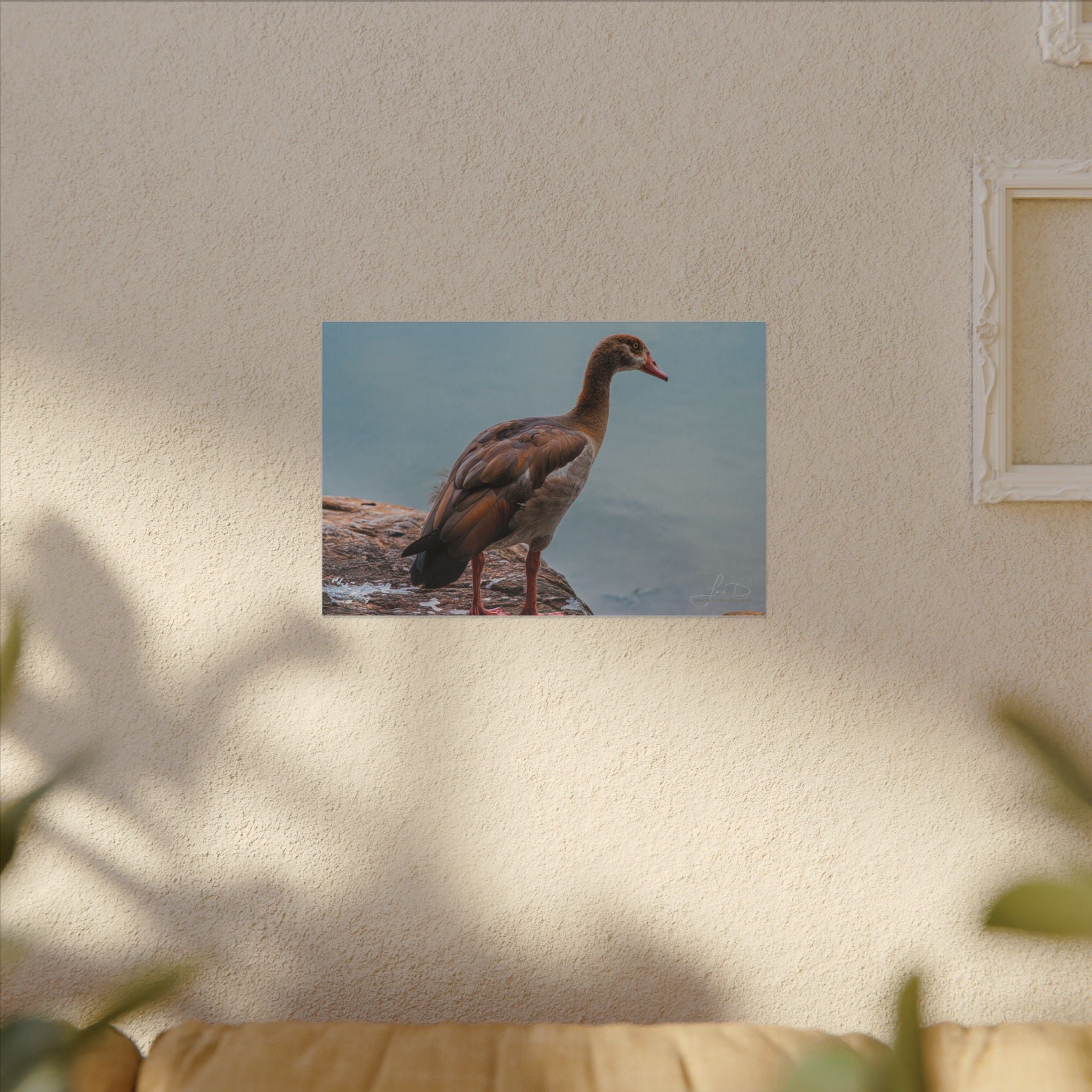 Goose Canvas Wall Art — Matte Stretched Nature Print