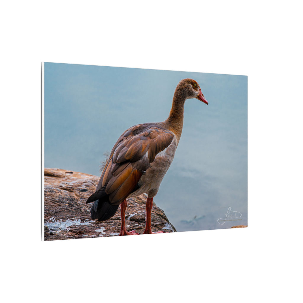 Goose Canvas Wall Art — Matte Stretched Nature Print