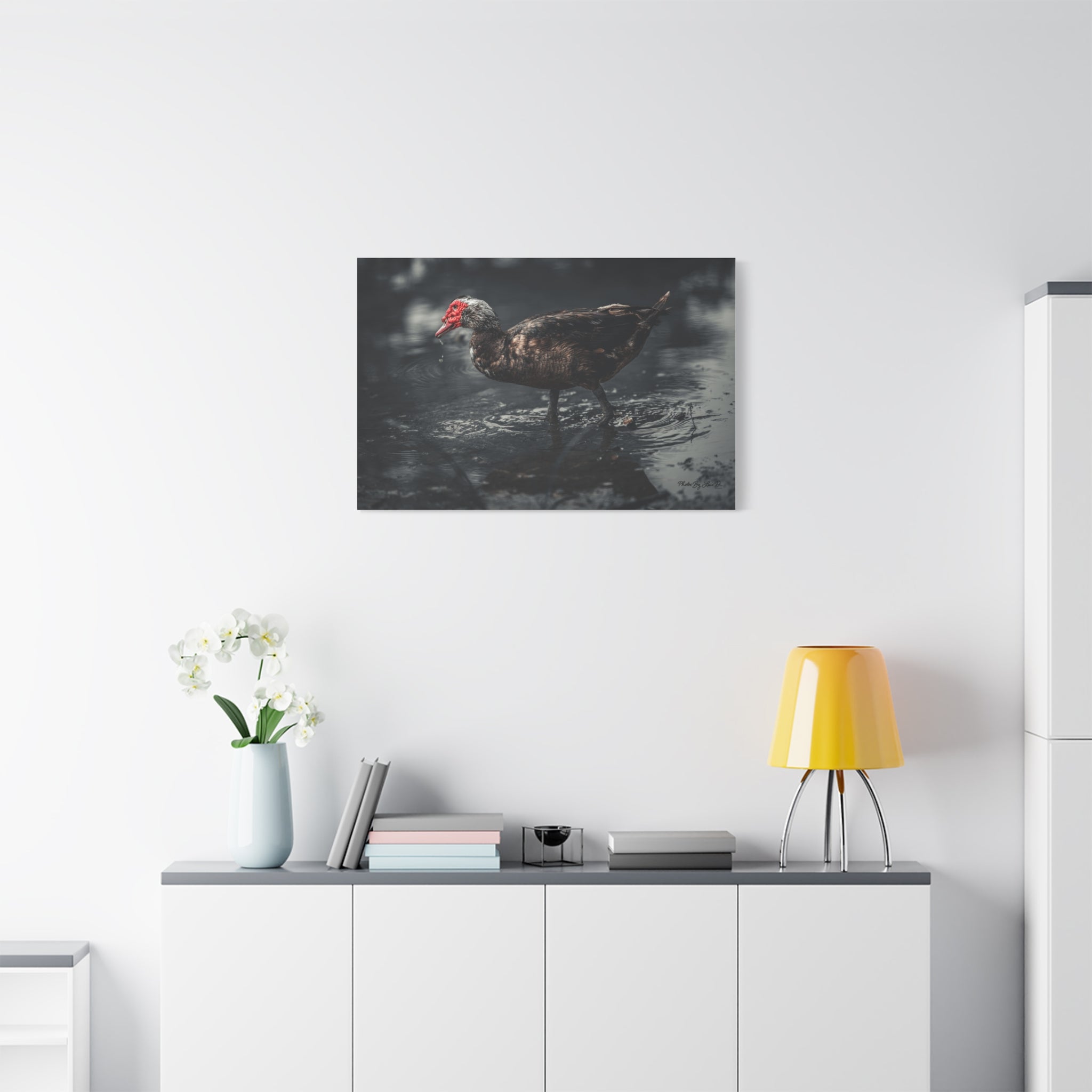 Muscovy Duck Matte Canvas Print — Moody Wildlife Photography Wall Art