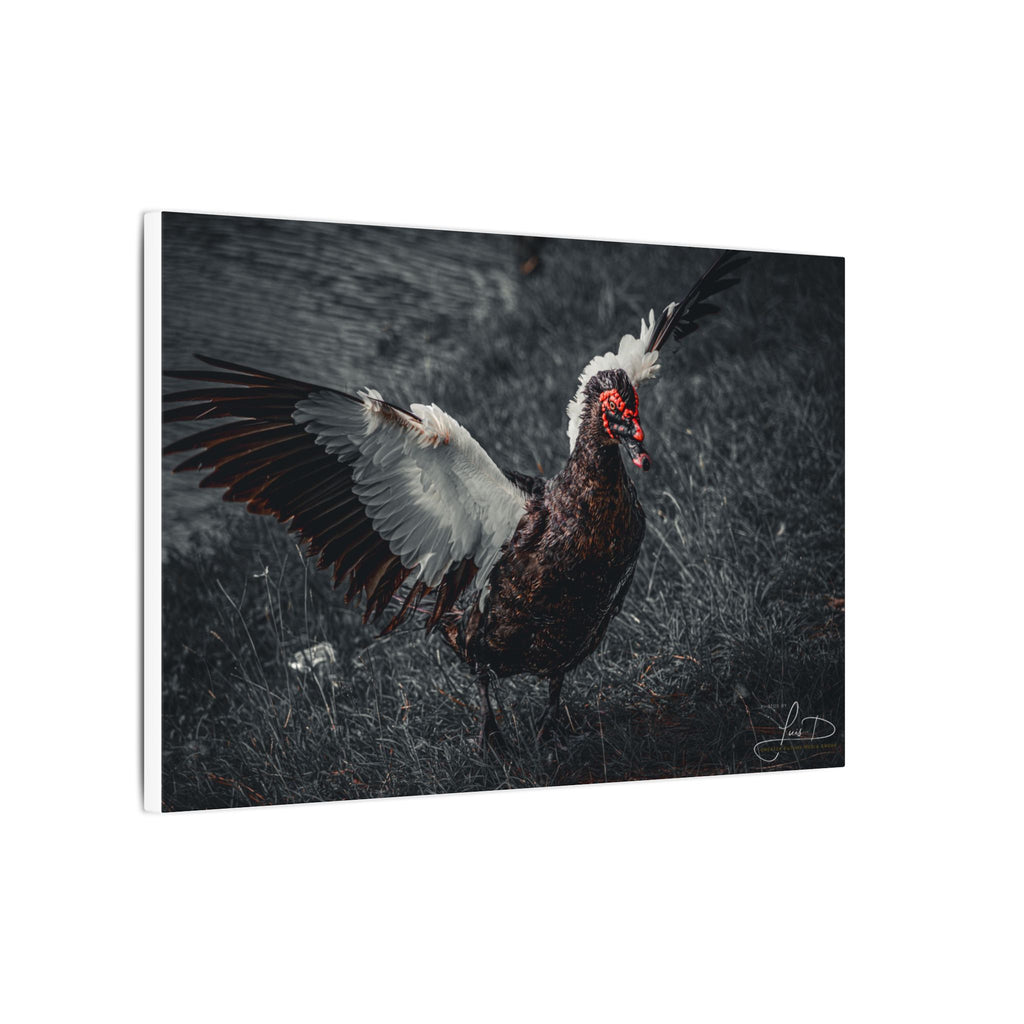 Dark Farmhouse Canvas Print — Moody Muscovy Duck Wall Art
