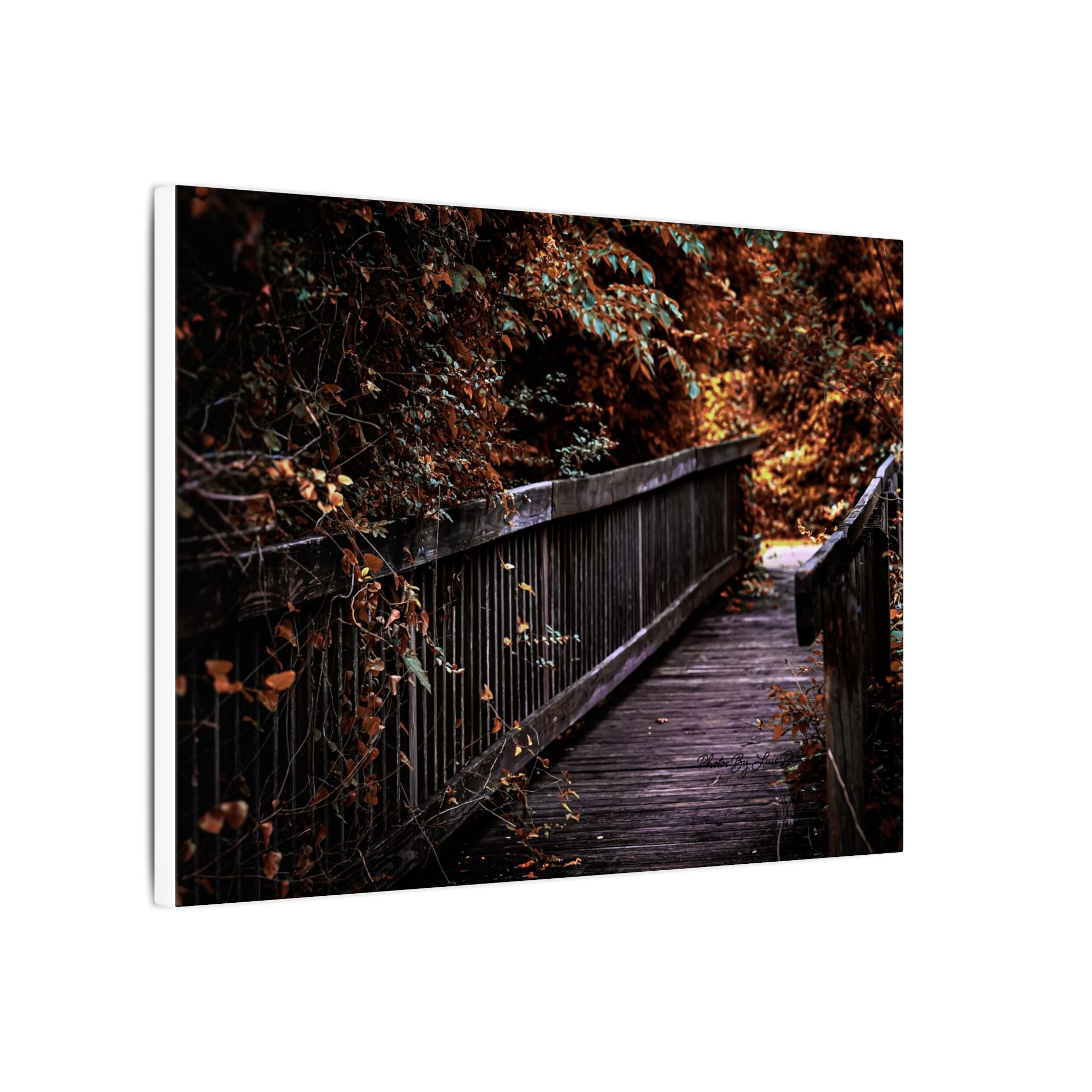 Autumn Forest Footbridge Matte Canvas Wall Art — Moody Woodland Landscape
