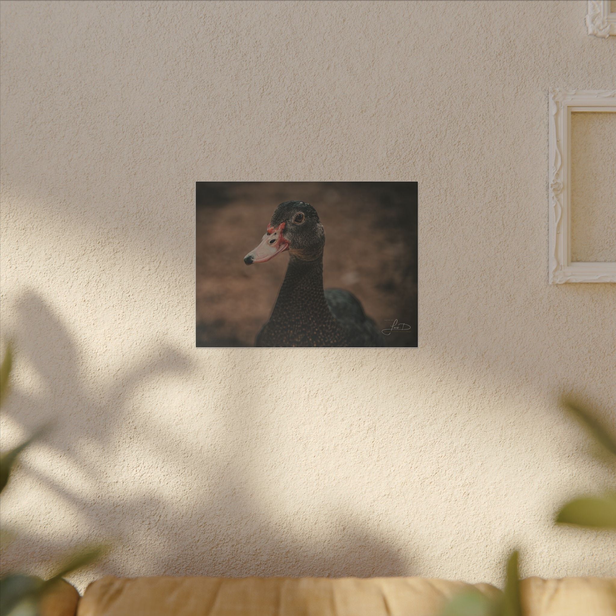 Muscovy Duck Portrait Matte Canvas Wall Art