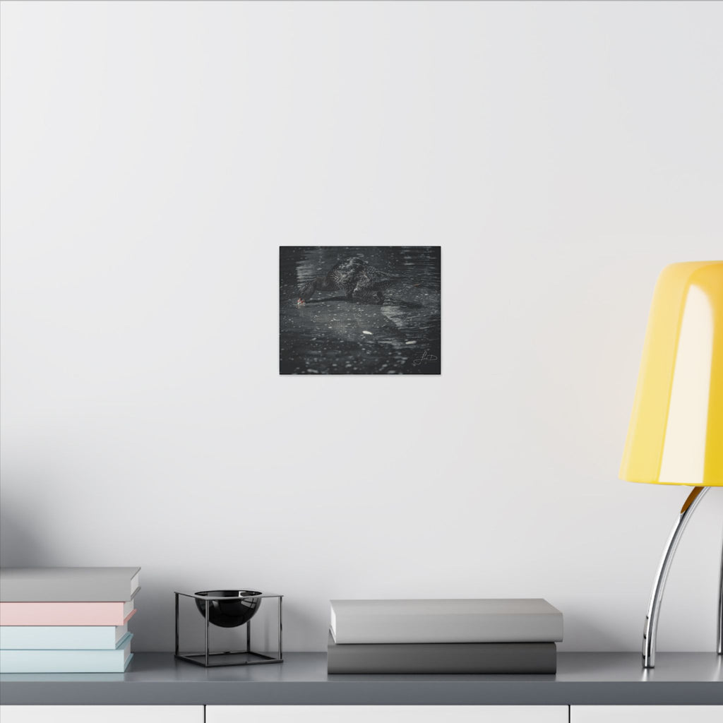 Black Duck Matte Canvas Print — Moody Wildlife Wall Art