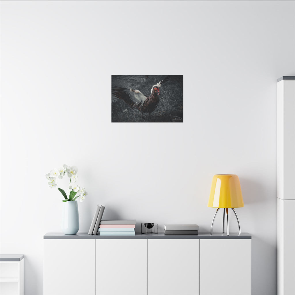 Dark Farmhouse Canvas Print — Moody Muscovy Duck Wall Art