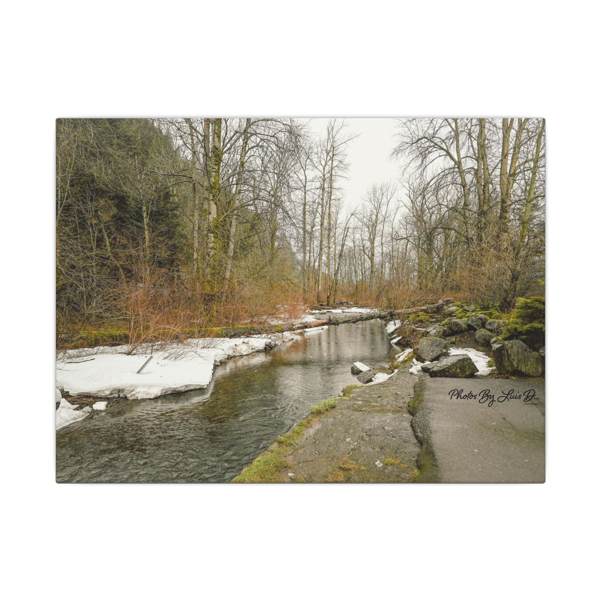 Nature Wall Art Print, Landscape Home Decor, Rustic Cabin Art, Gift for Nature Lovers, Indoor Decoration