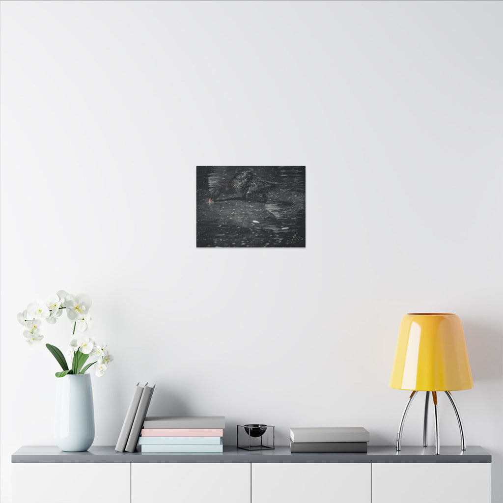Black Duck Matte Canvas Print — Moody Wildlife Wall Art