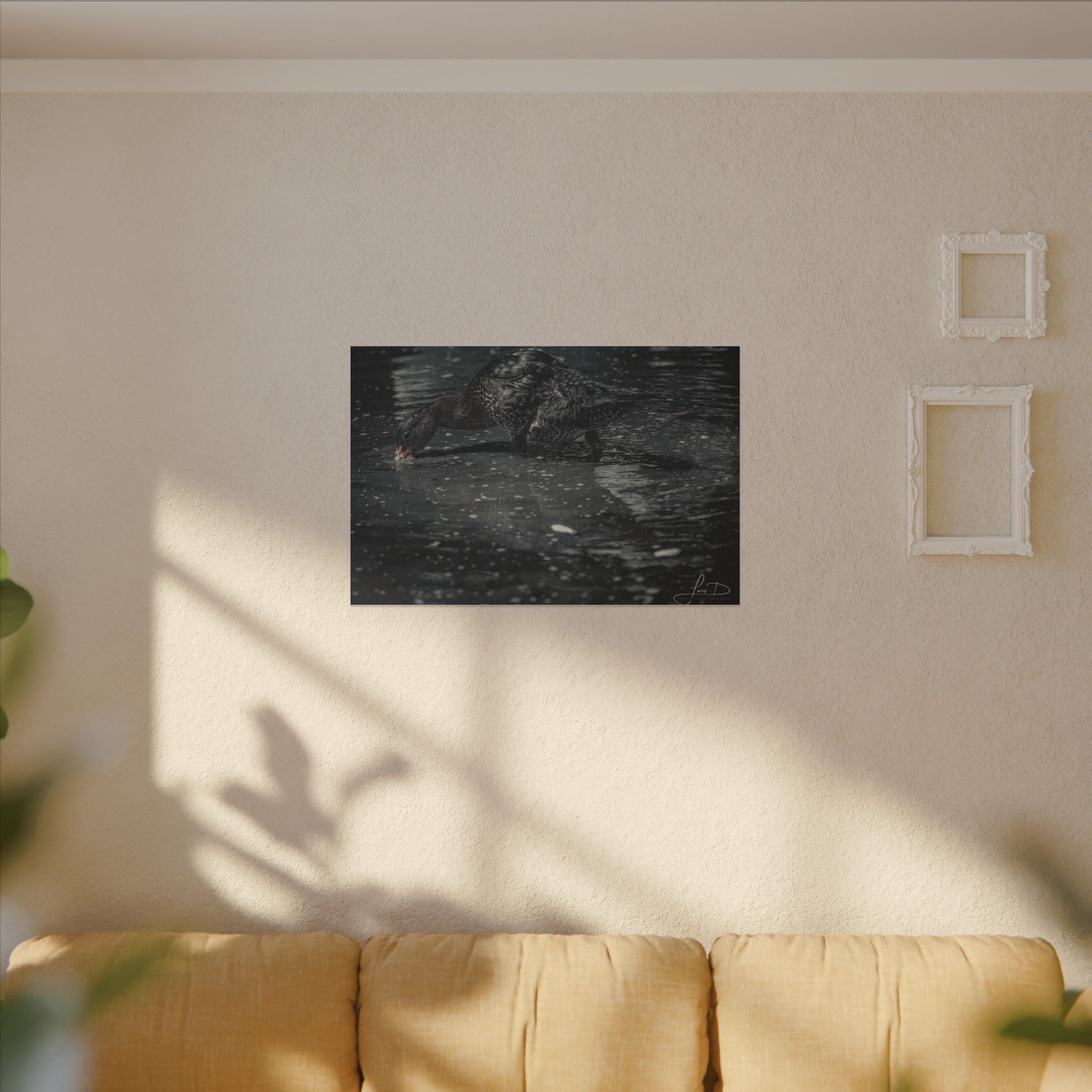Black Duck Matte Canvas Print — Moody Wildlife Wall Art