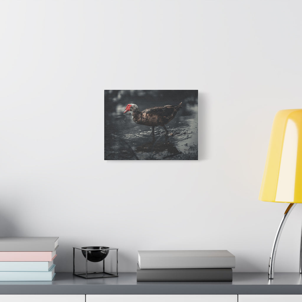 Muscovy Duck Matte Canvas Print — Moody Wildlife Photography Wall Art