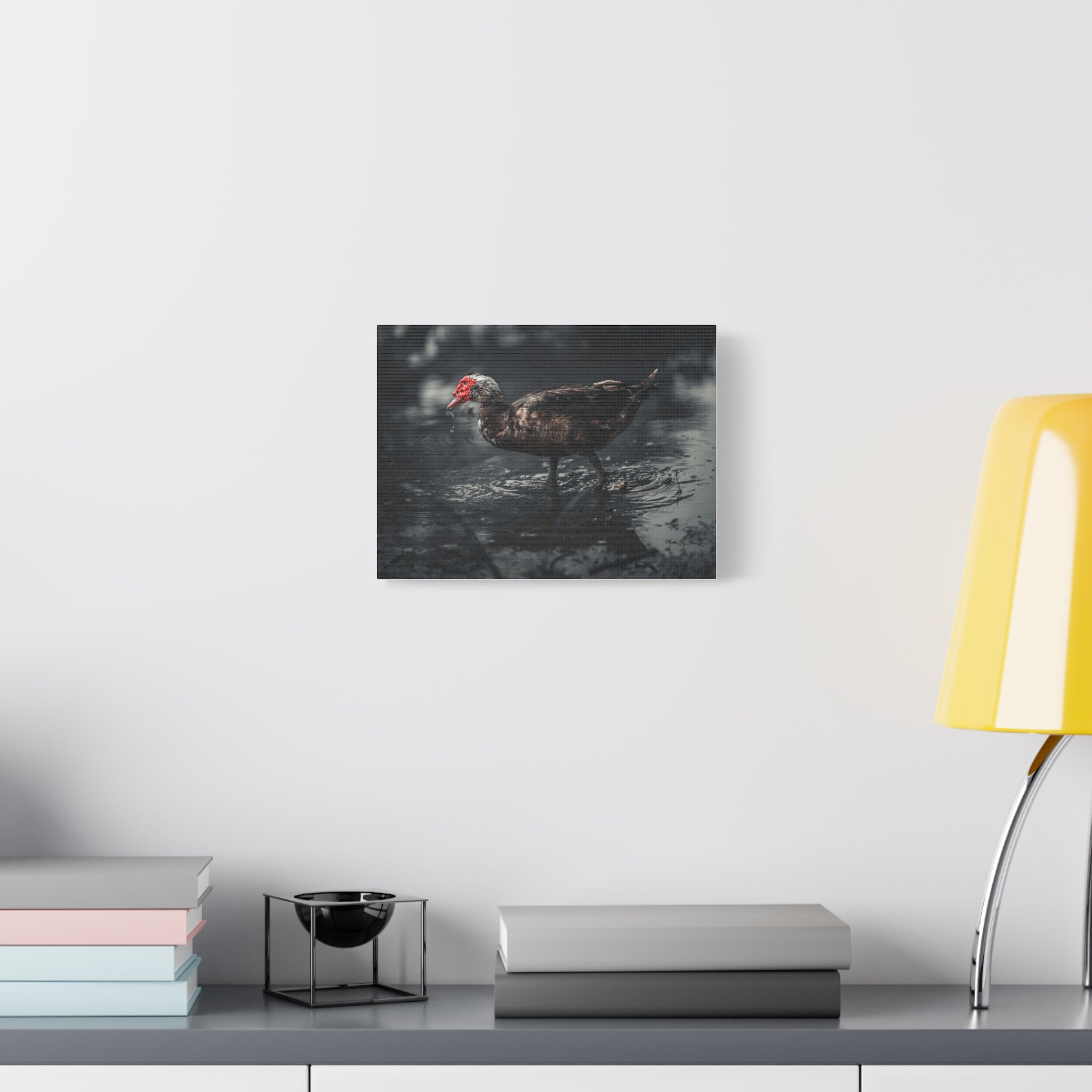 Muscovy Duck Matte Canvas Print — Moody Wildlife Photography Wall Art