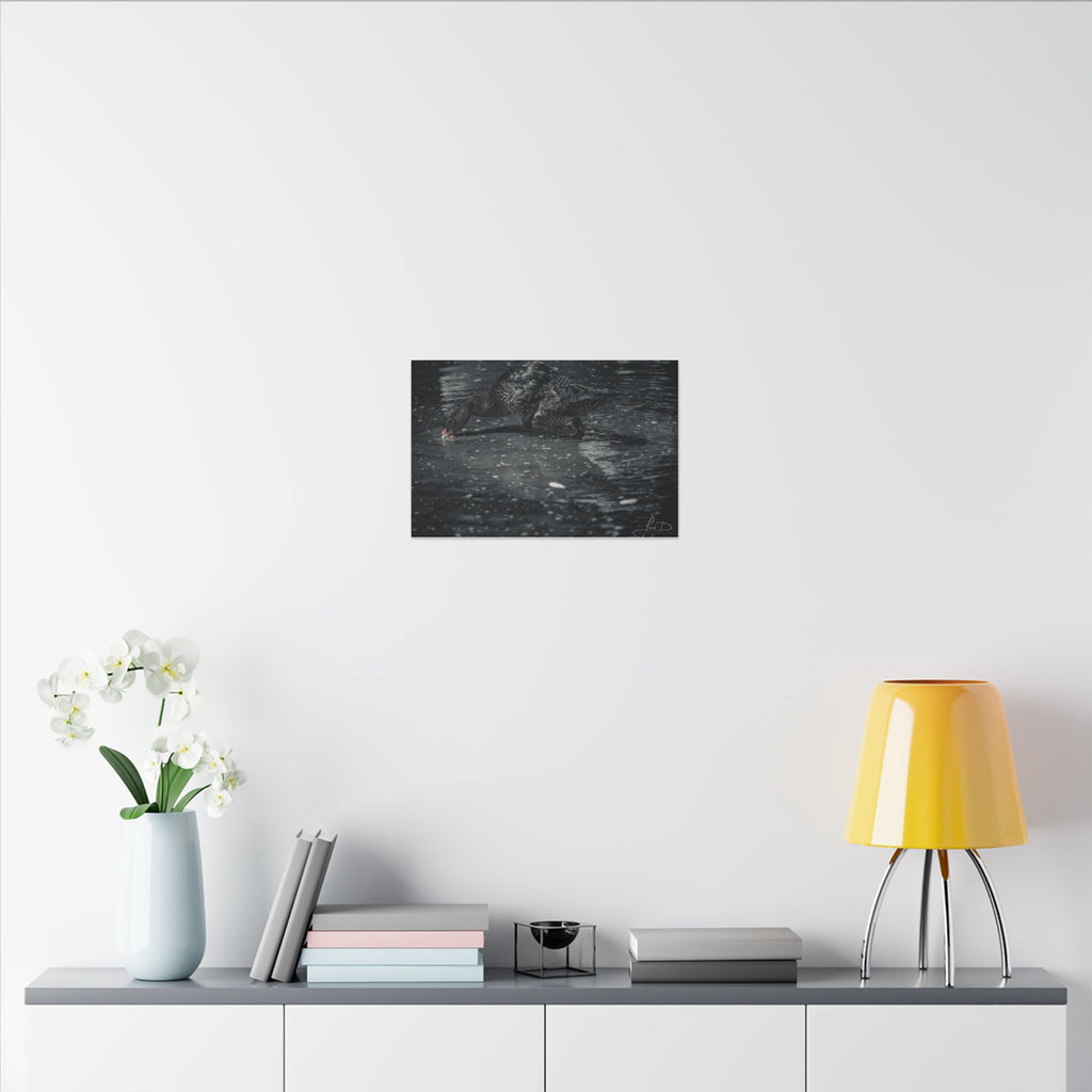 Black Duck Matte Canvas Print — Moody Wildlife Wall Art