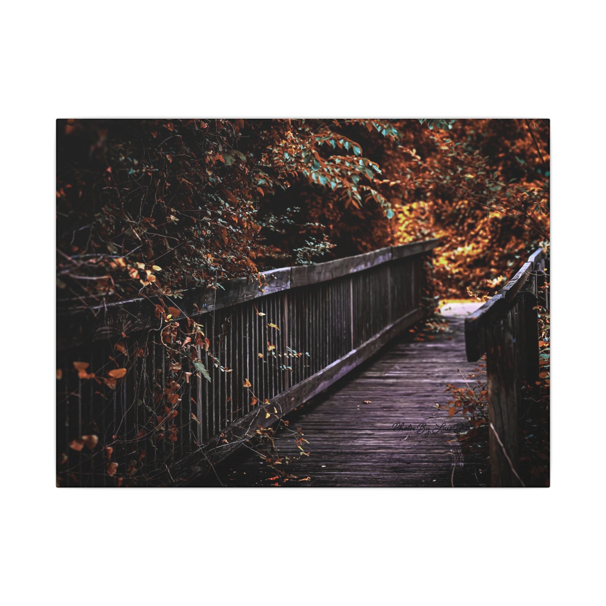 Autumn Forest Footbridge Matte Canvas Wall Art — Moody Woodland Landscape