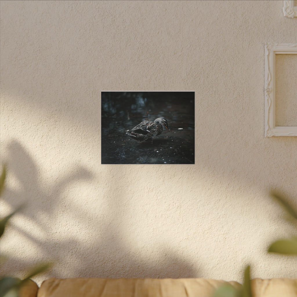 Matte Canvas Print - Moody Duck Photography Wall Art