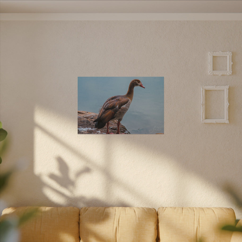 Goose Canvas Wall Art — Matte Stretched Nature Print
