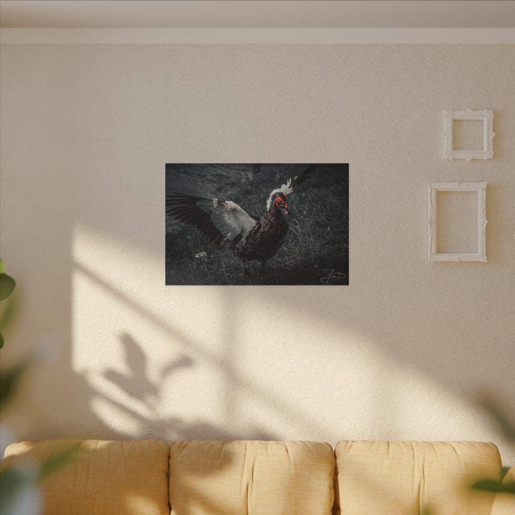 Dark Farmhouse Canvas Print — Moody Muscovy Duck Wall Art
