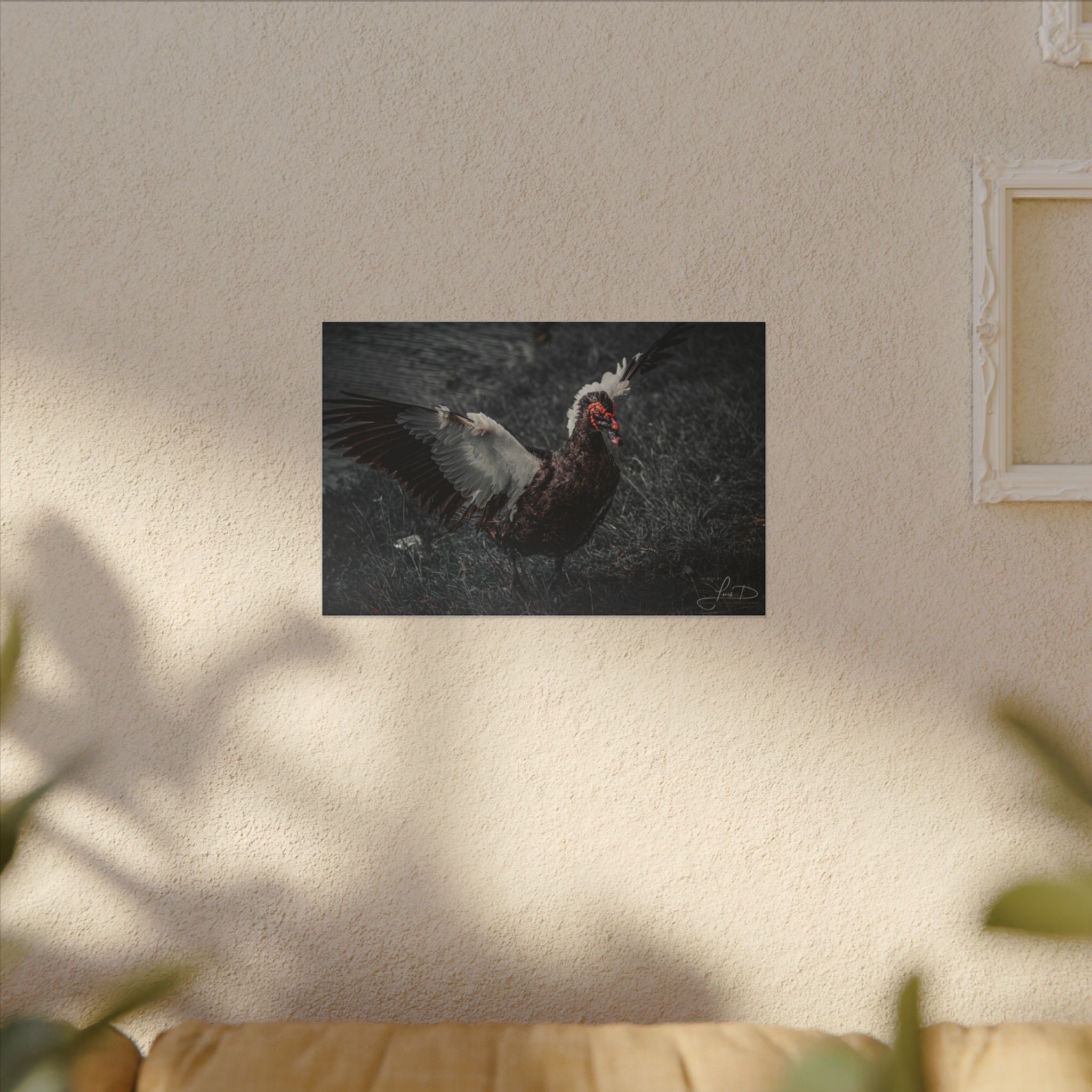 Dark Farmhouse Canvas Print — Moody Muscovy Duck Wall Art