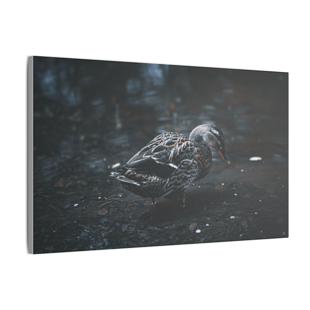 Matte Canvas Print - Moody Duck Photography Wall Art