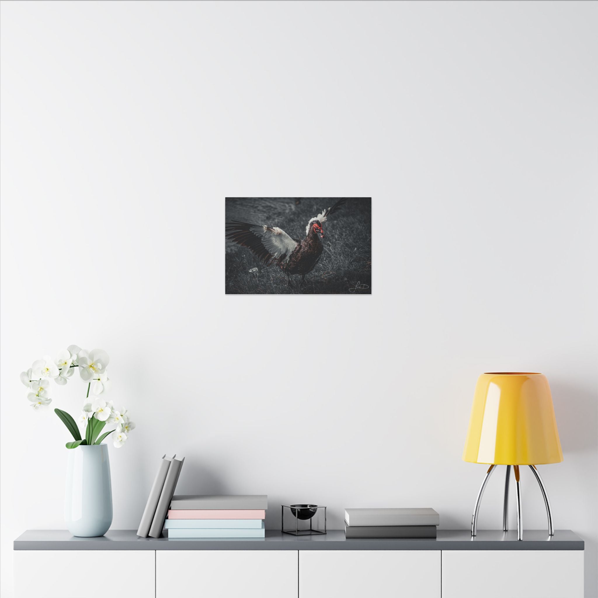 Dark Farmhouse Canvas Print — Moody Muscovy Duck Wall Art