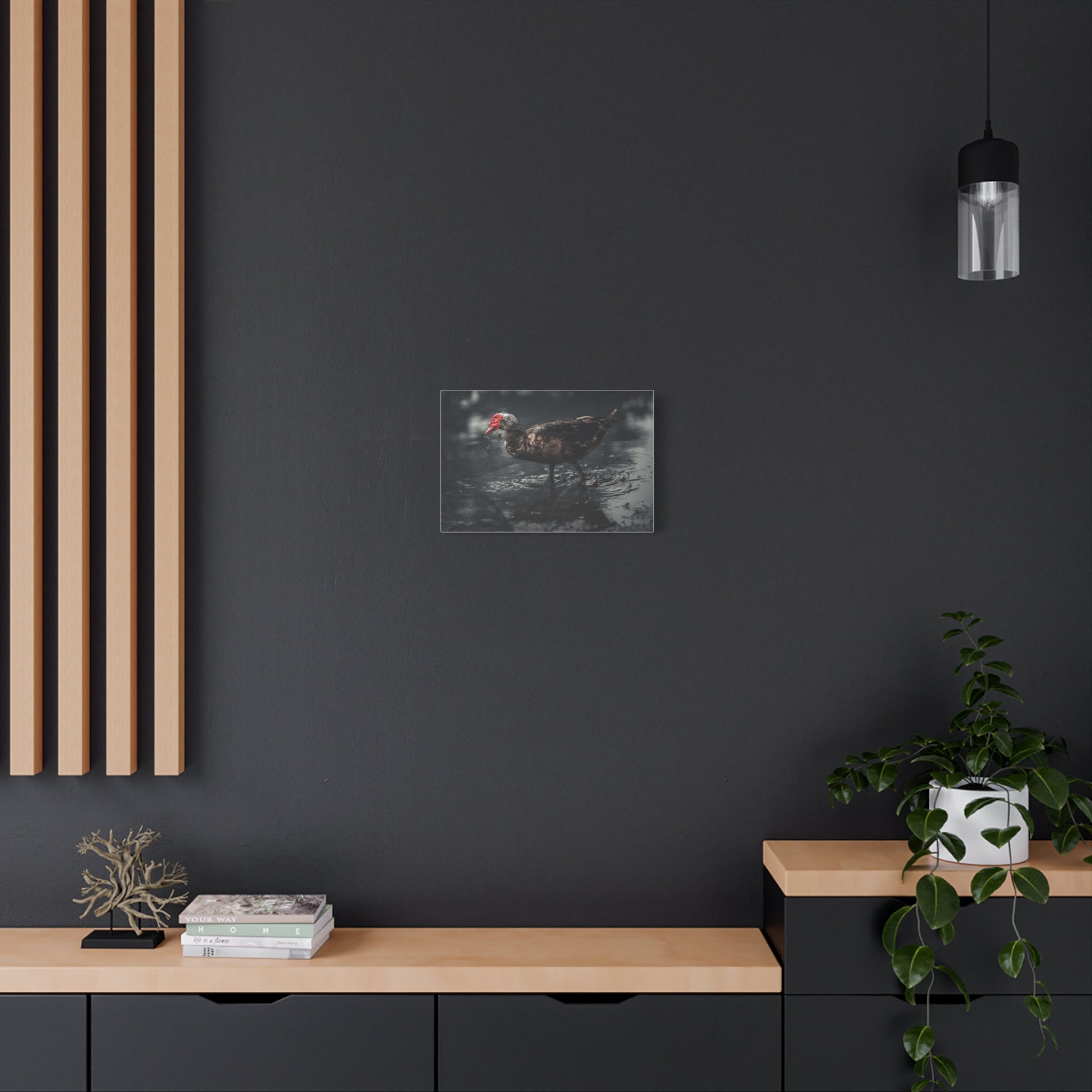 Muscovy Duck Matte Canvas Print — Moody Wildlife Photography Wall Art