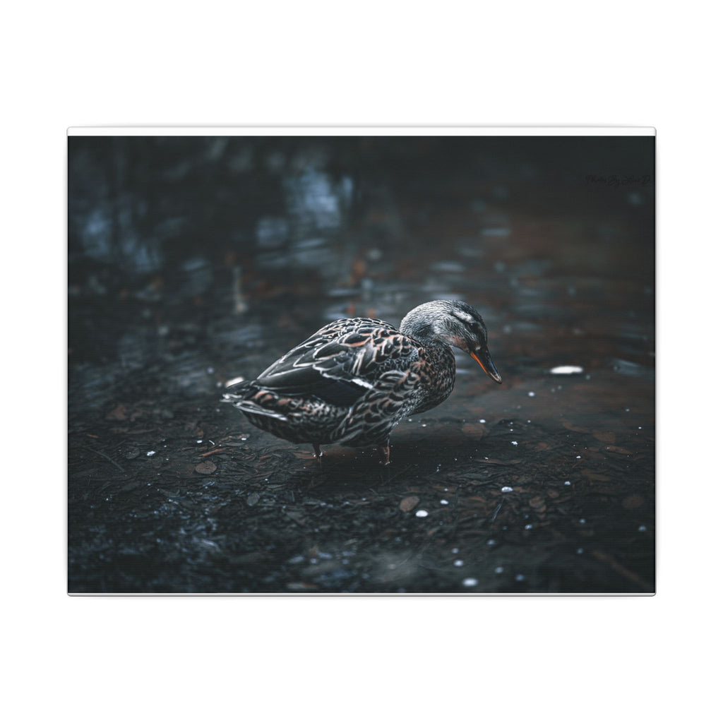 Matte Canvas Print - Moody Duck Photography Wall Art