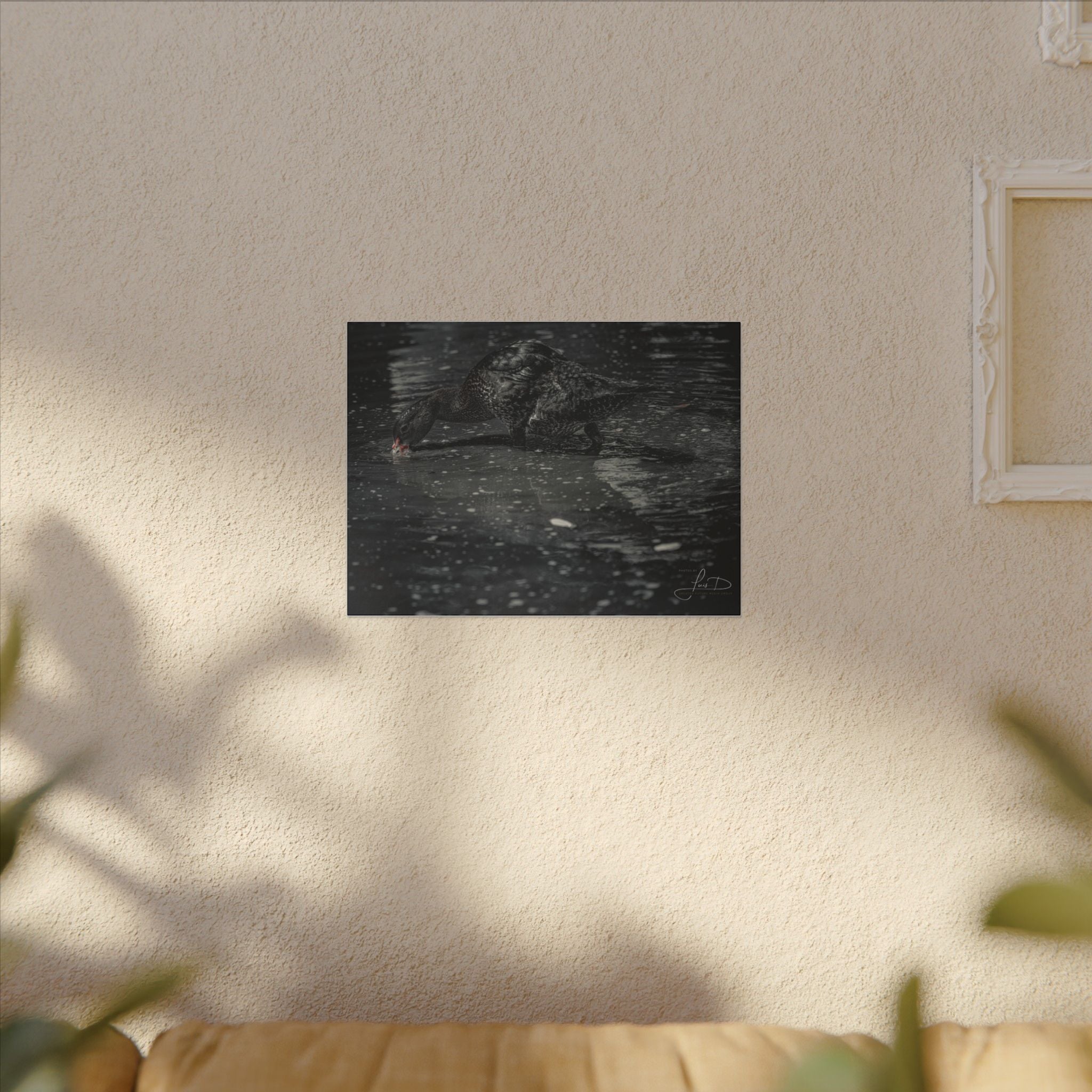 Black Duck Matte Canvas Print — Moody Wildlife Wall Art