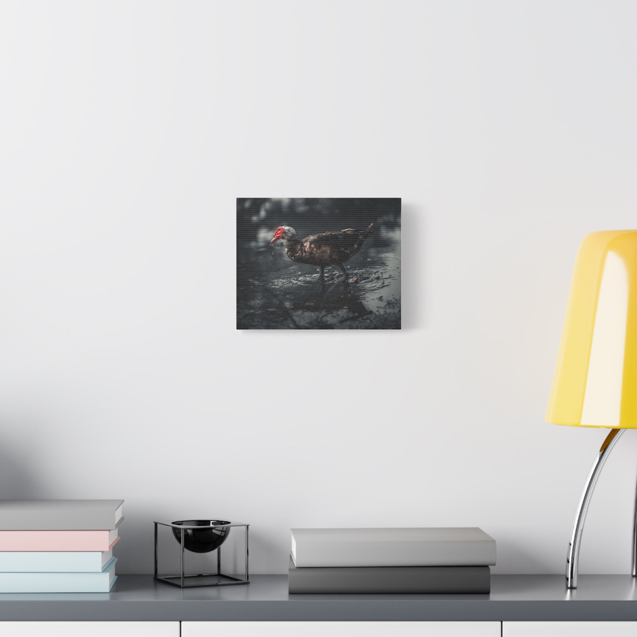 Muscovy Duck Matte Canvas Print — Moody Wildlife Photography Wall Art