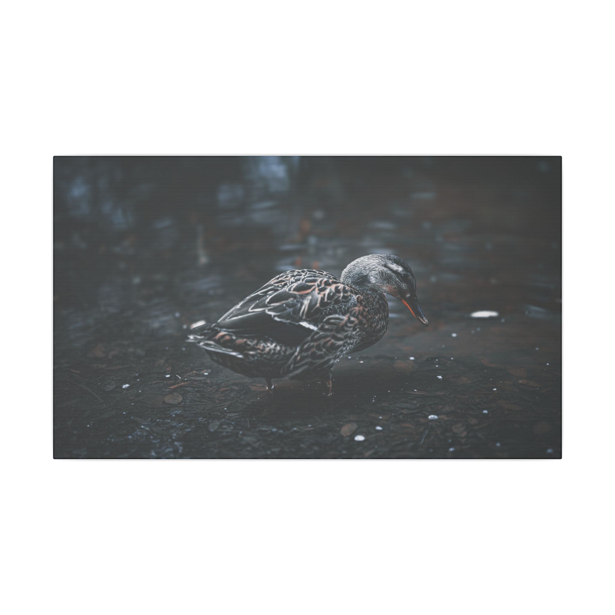 Matte Canvas Print - Moody Duck Photography Wall Art