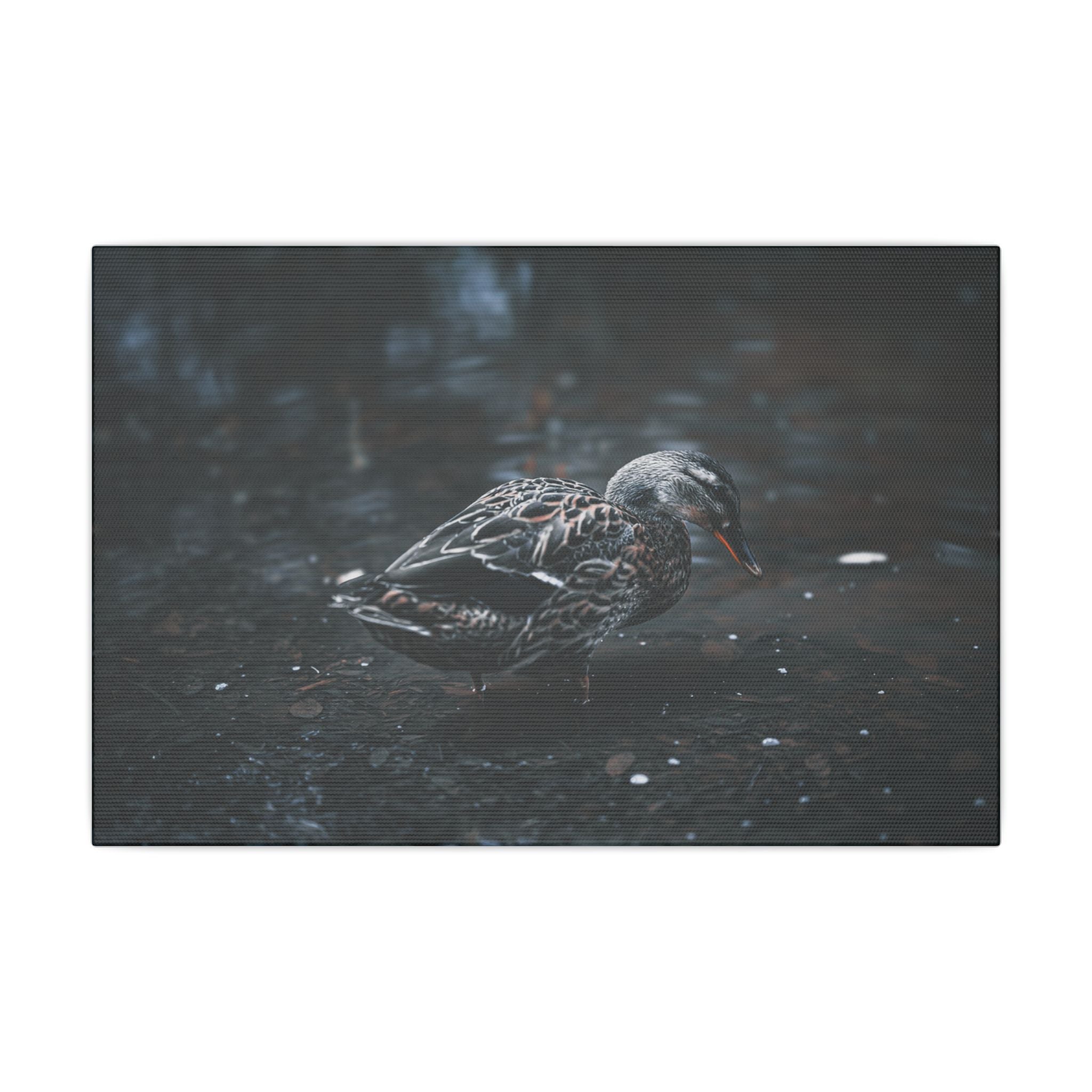 Matte Canvas Print - Moody Duck Photography Wall Art