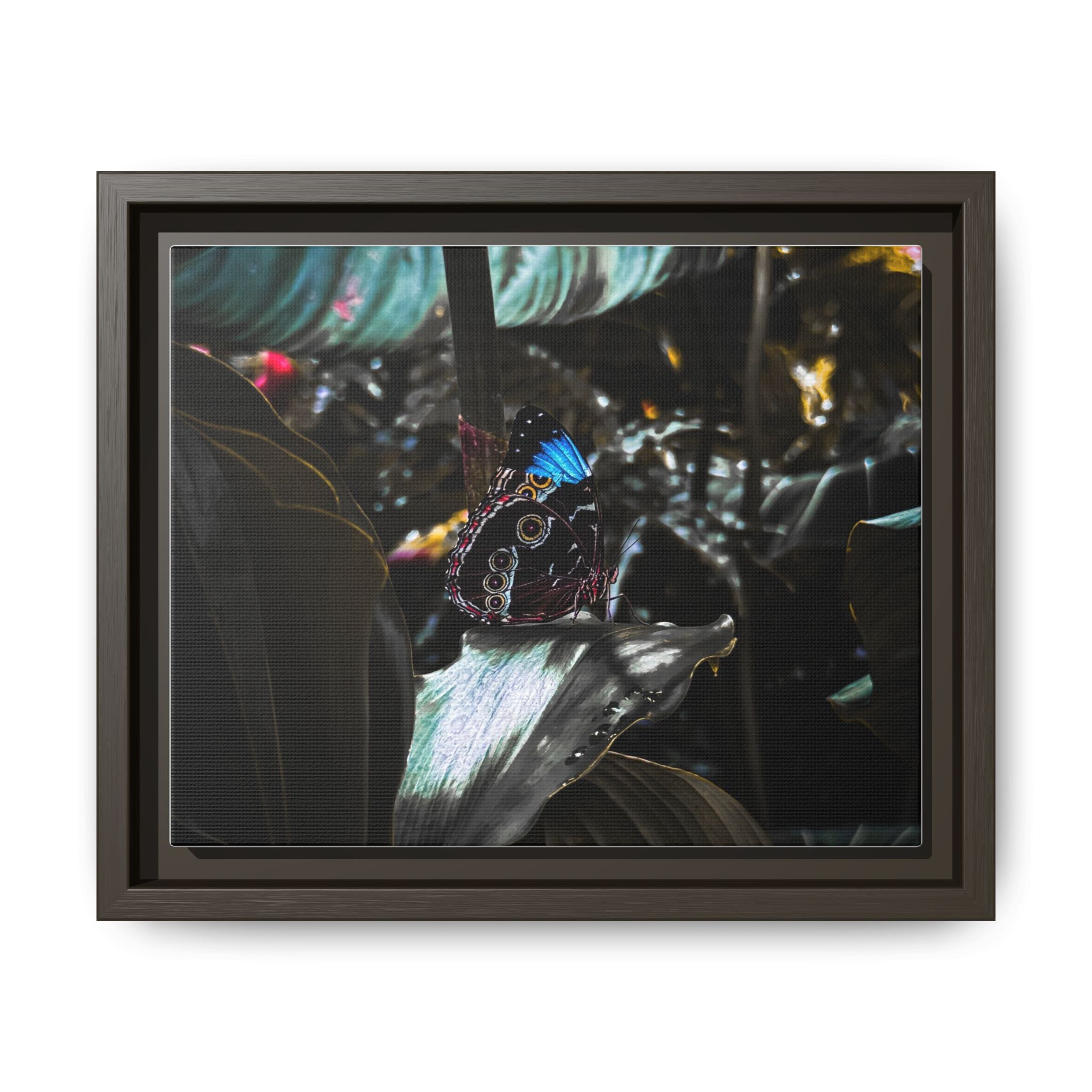 Framed Matte Canvas Print — Moody Tropical Butterfly Wall Art
