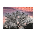 Serene Nature Canvas Art, Bird Silhouette Wall Decor, Home Aesthetic, Gift for Bird Lovers, Nature Photography Print, Peaceful Wall Art