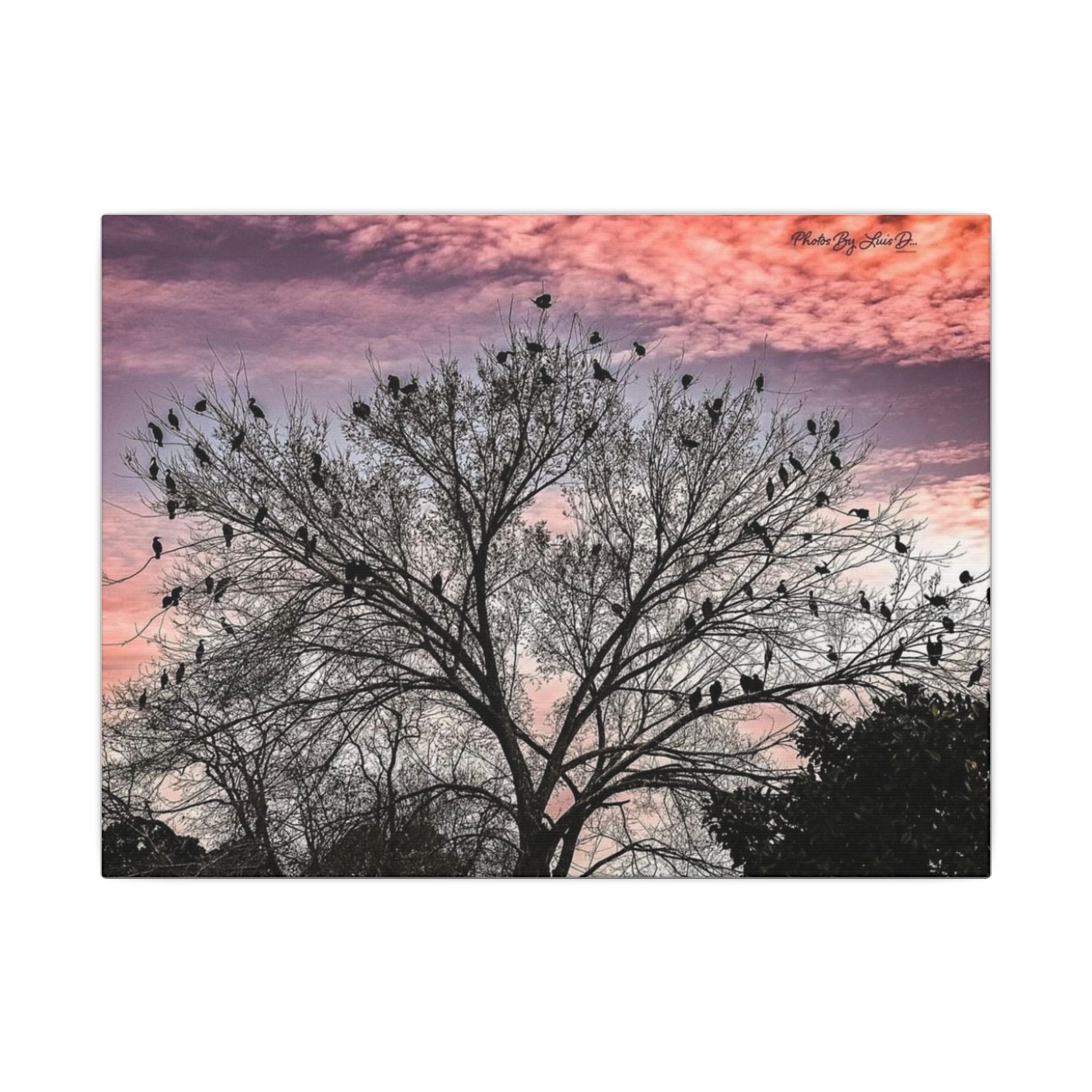 Serene Nature Canvas Art, Bird Silhouette Wall Decor, Home Aesthetic, Gift for Bird Lovers, Nature Photography Print, Peaceful Wall Art