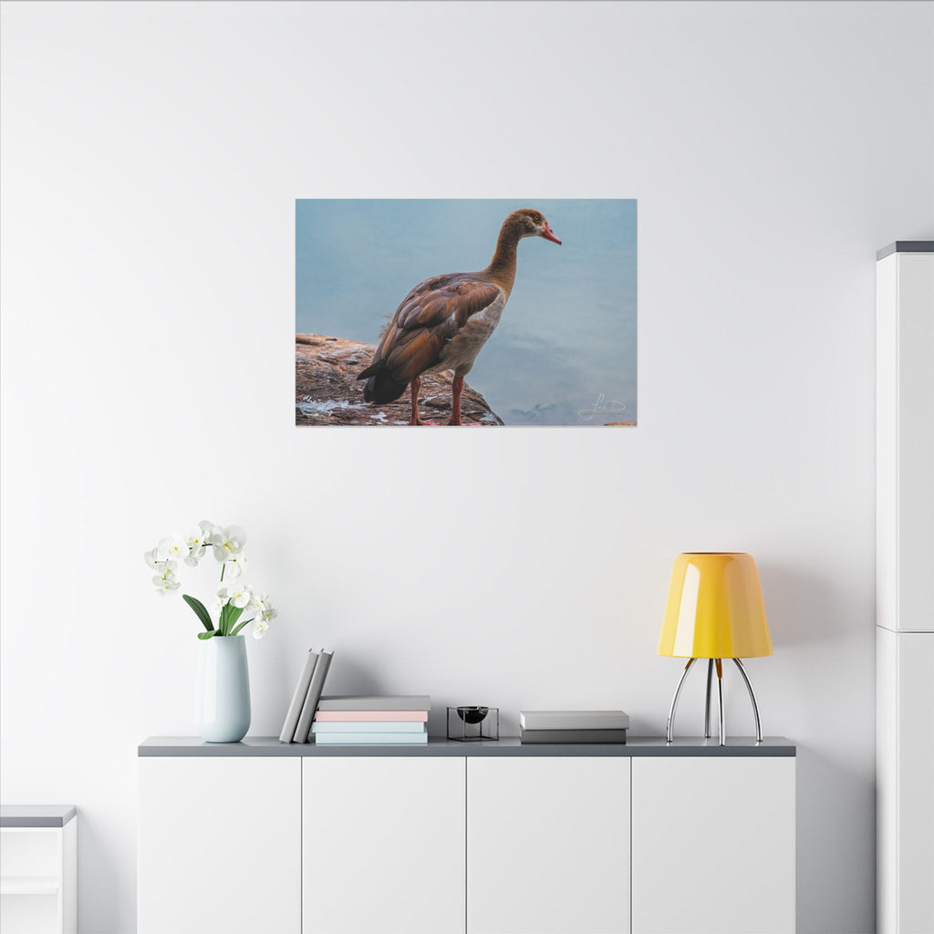Goose Canvas Wall Art — Matte Stretched Nature Print