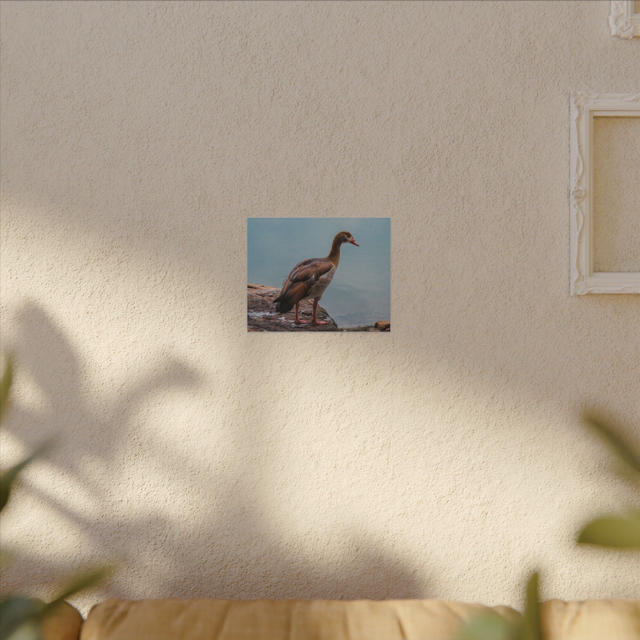 Goose Canvas Wall Art — Matte Stretched Nature Print