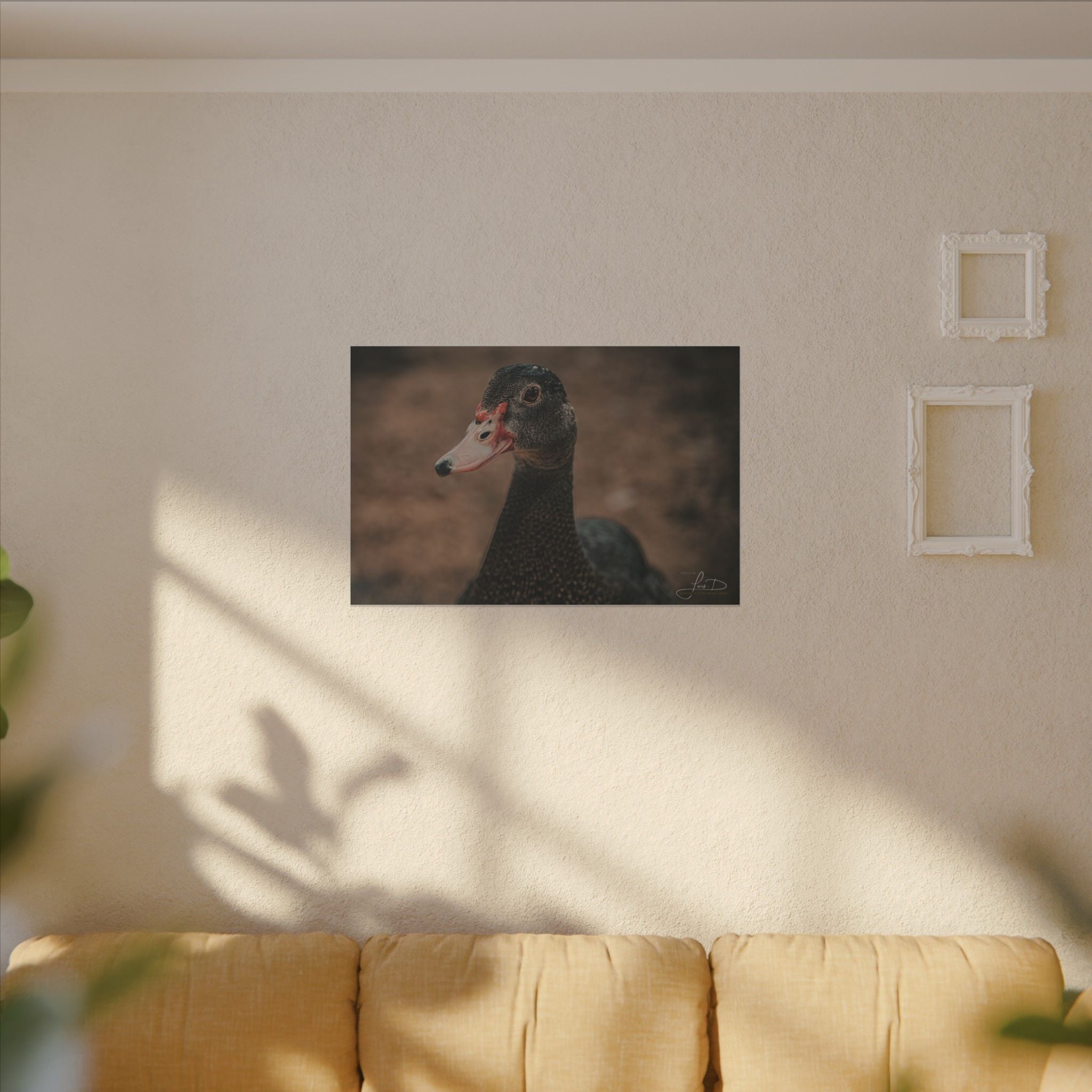 Muscovy Duck Portrait Matte Canvas Wall Art