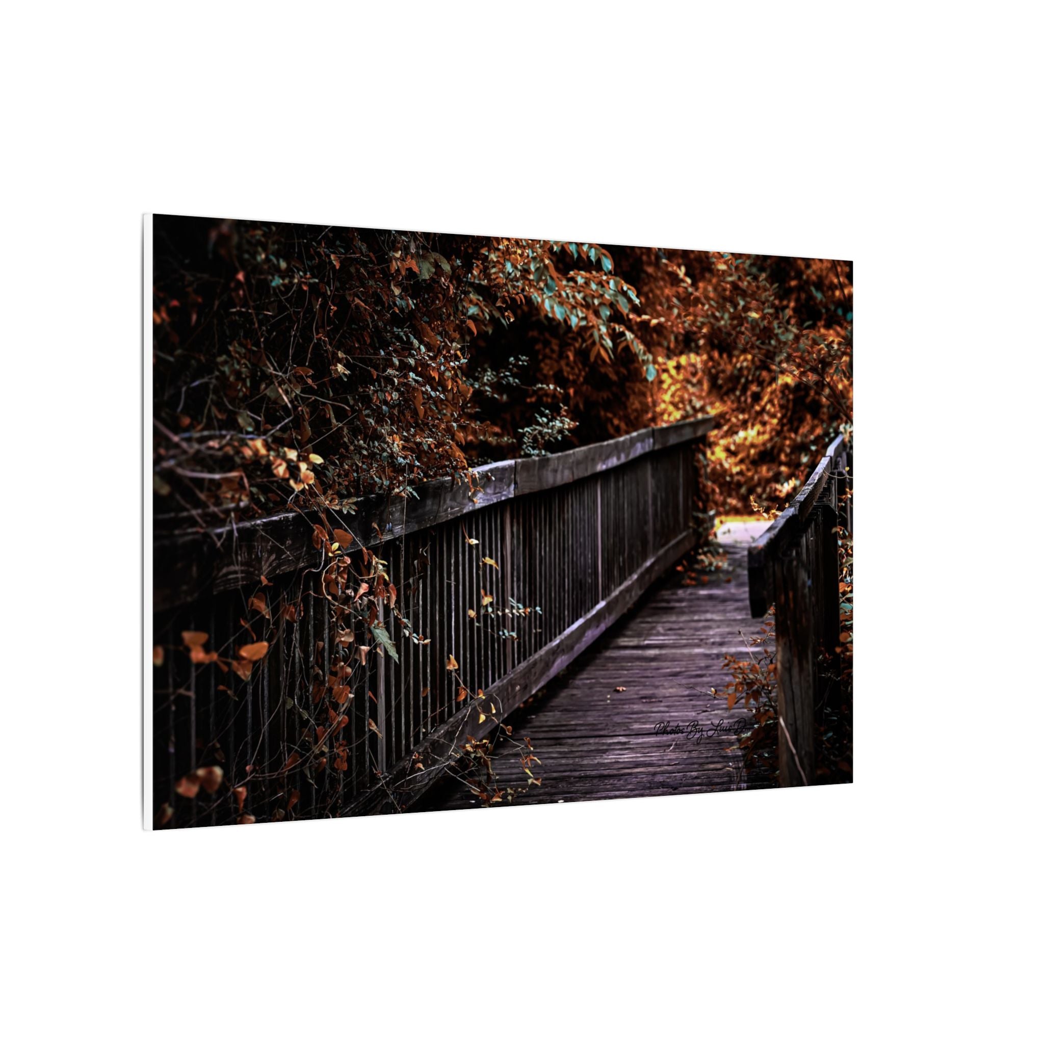 Autumn Forest Footbridge Matte Canvas Wall Art — Moody Woodland Landscape