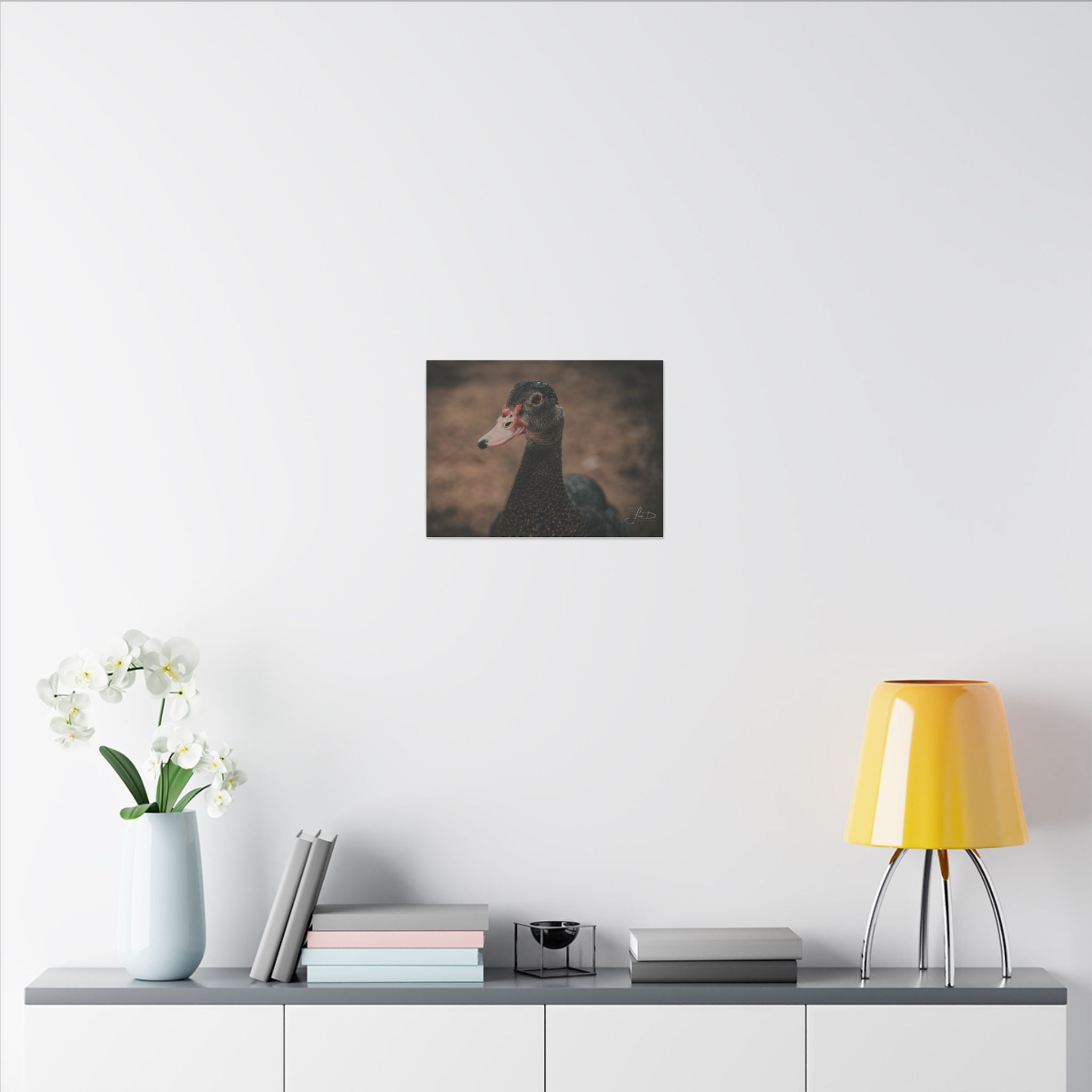 Muscovy Duck Portrait Matte Canvas Wall Art